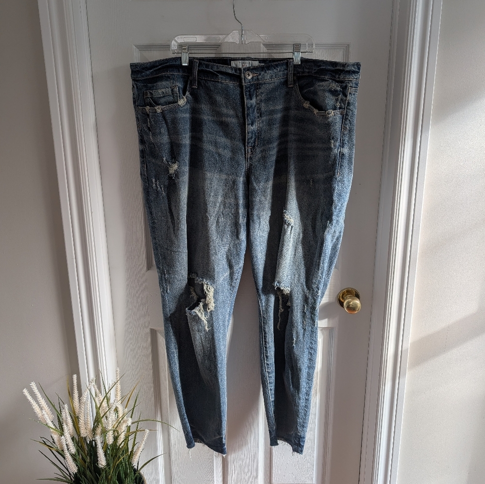 Torrid Blue Distressed Jeans
